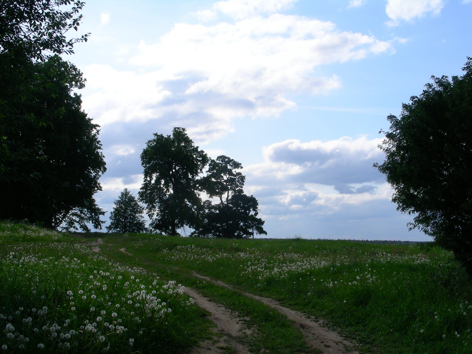 Окрестности деревни Цевло, © Татьяна Ковальчук