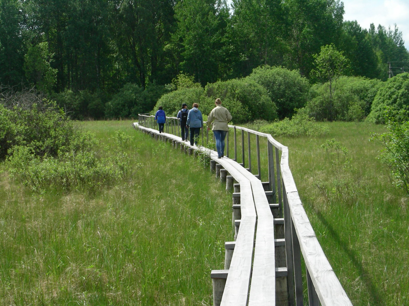 Деревянные мостки, по которым приходится идти гуськом..., © Татьяна Ковальчук