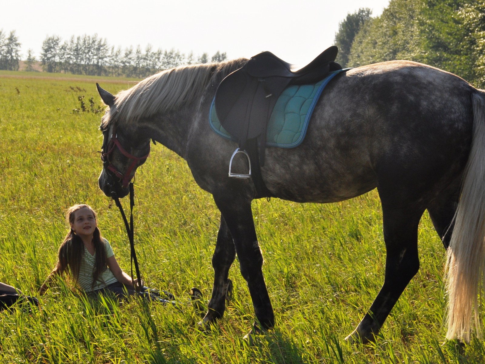 Мирное поле, фото Константин Исааков