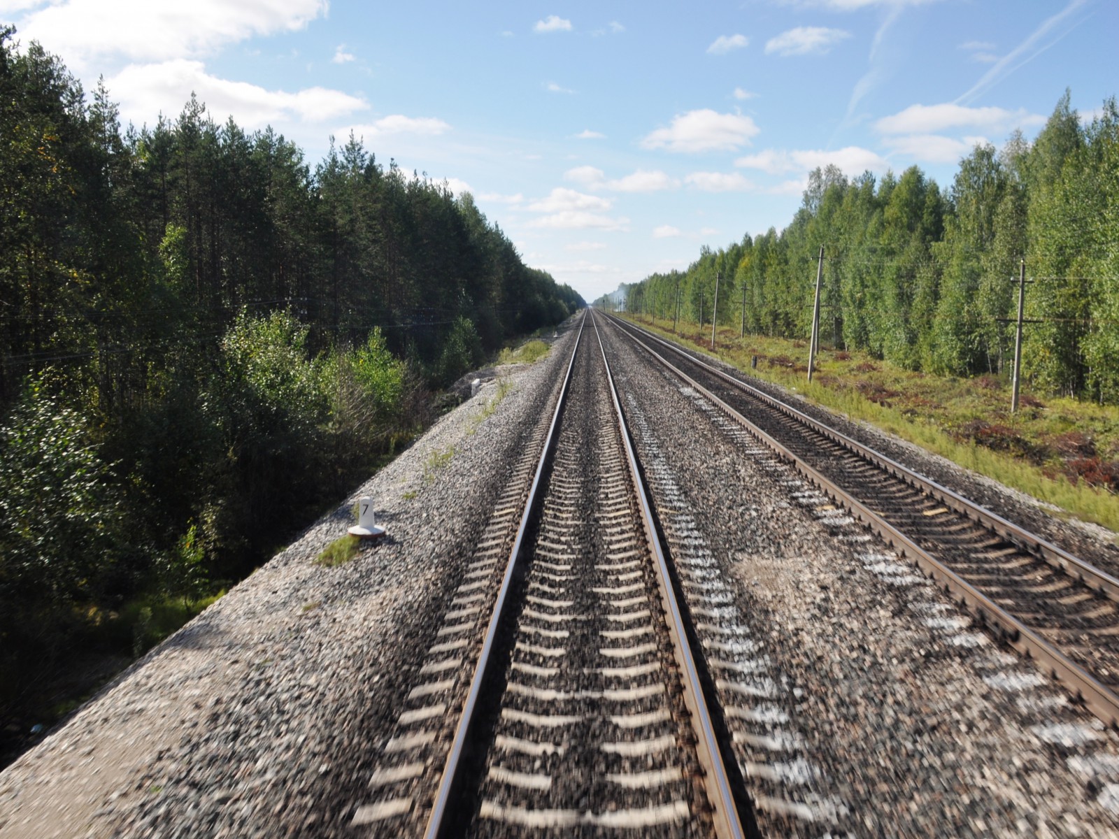 Сквозь леса Константин Исааков