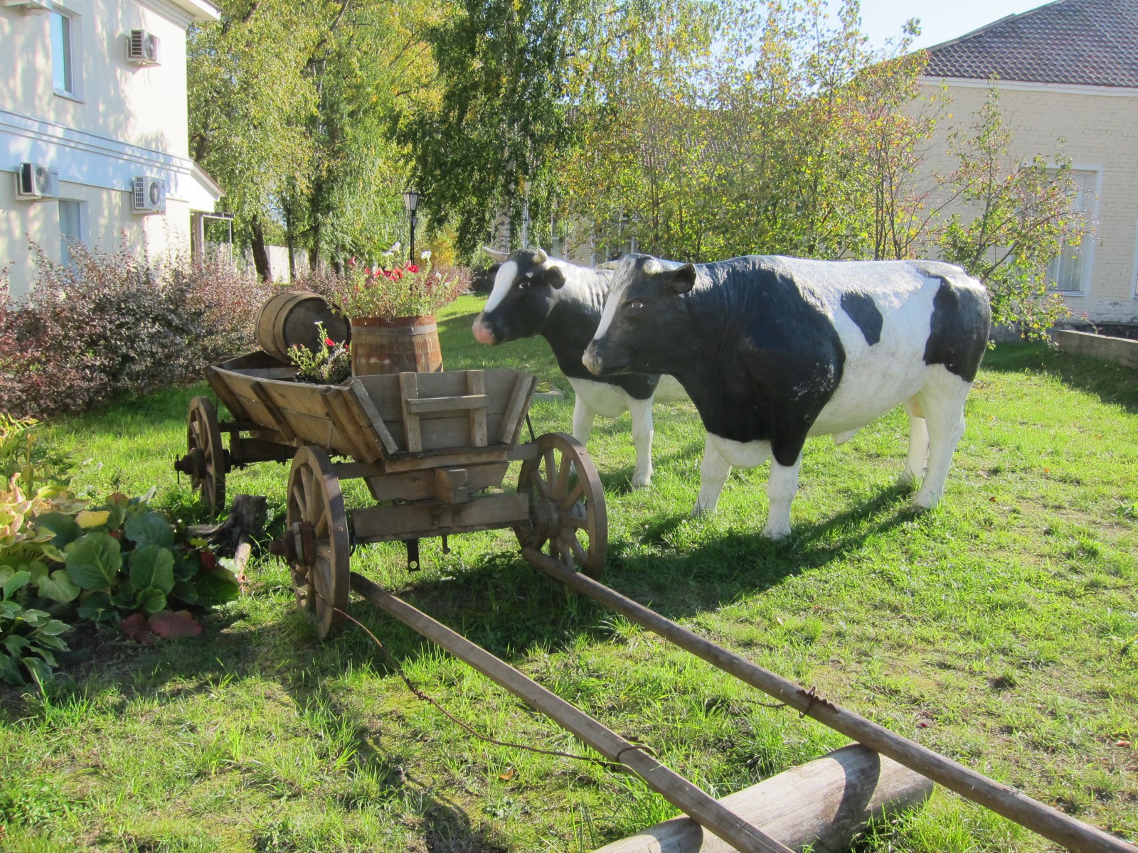 Хранители клюквы