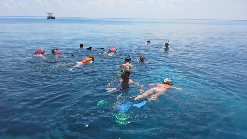 Снорклинг на коралловом рифе