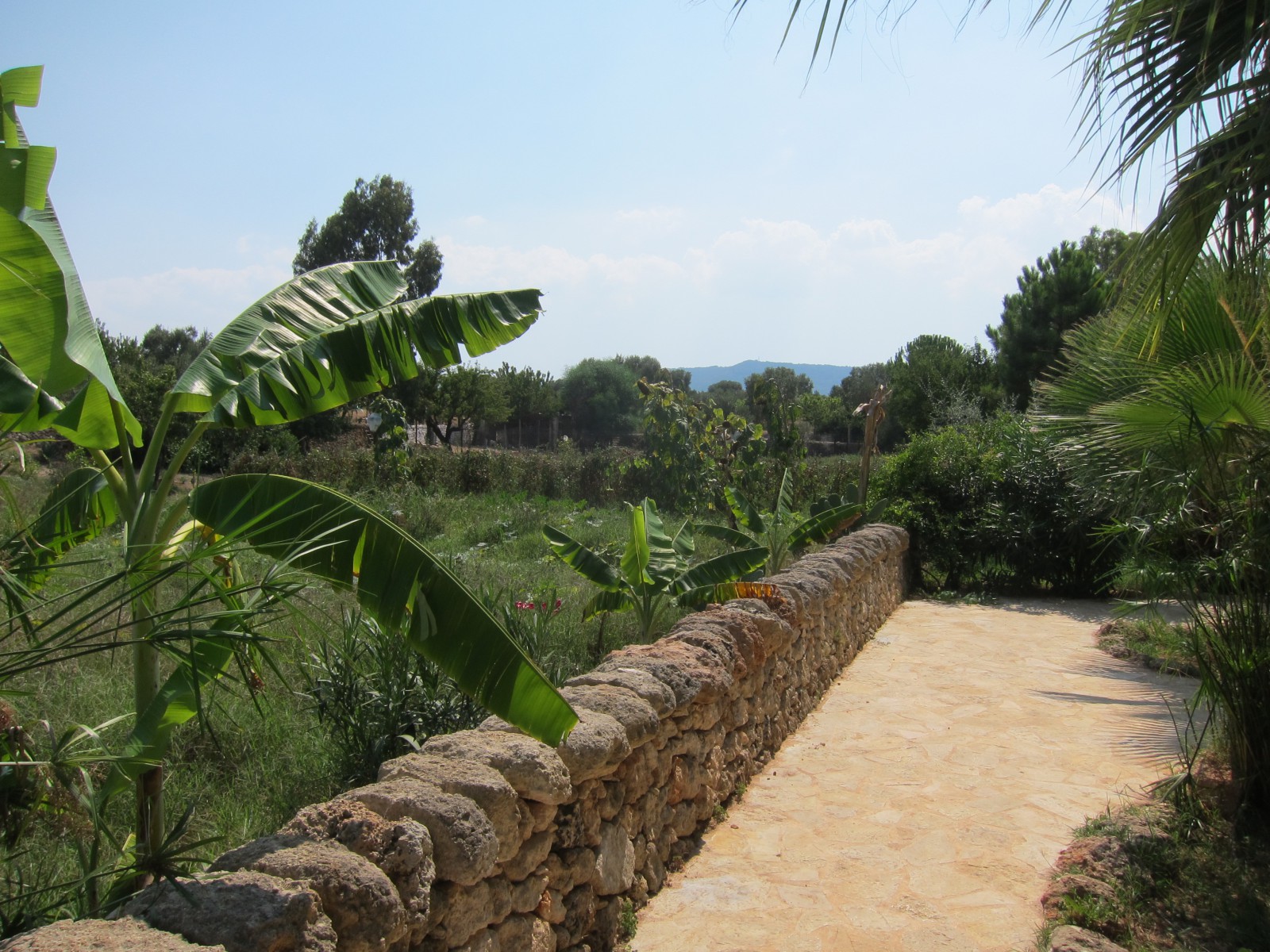 Сады и огороды, фото Алексеев Олег
