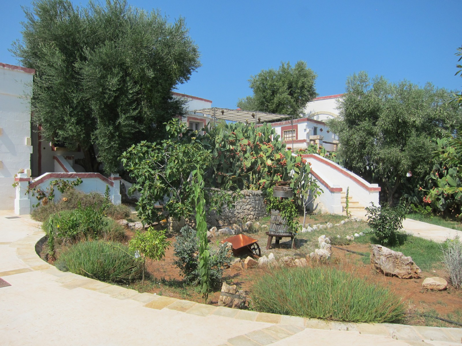  Алексеев Олег