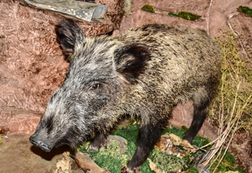 © Татьяна Яковлева