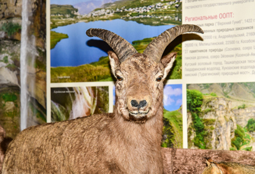 © Татьяна Яковлева