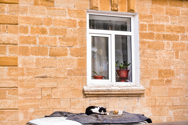 © Татьяна Яковлева