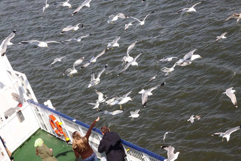 Хельсинки Борис Палтусов