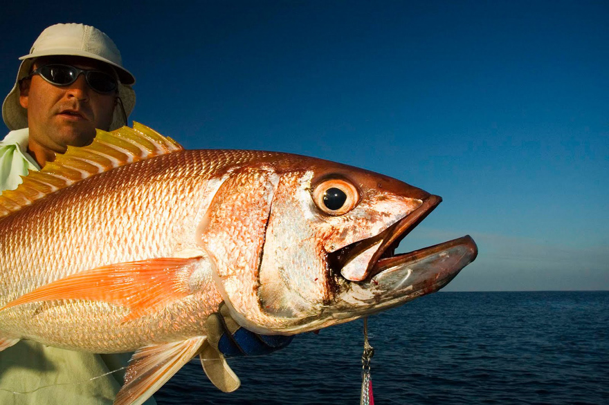 Ночная рыбалка на Мальдивах