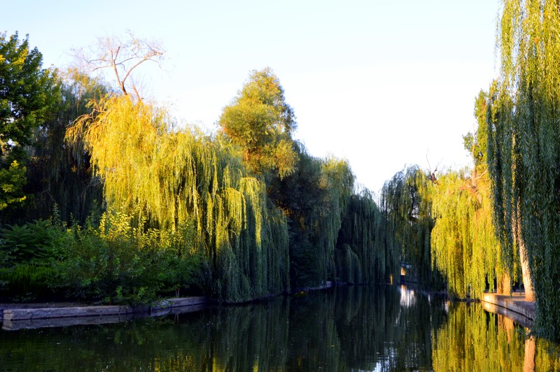 Вид Городского сада, фото Анастасия Супрун