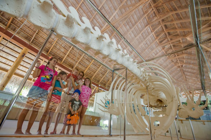 Центр для детей