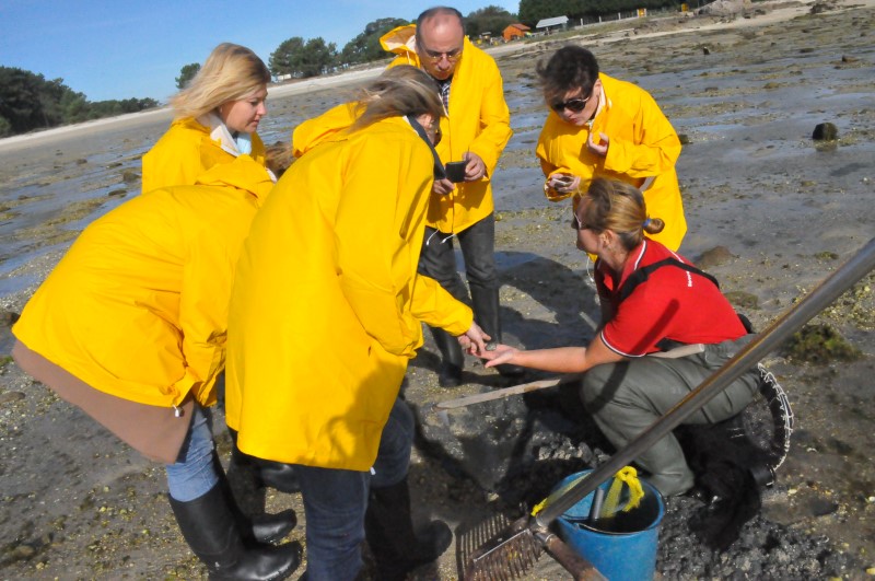 Марта опять нашла, а мы - нет, фото Константин Исааков