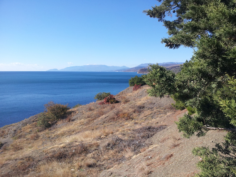 <b>Крымский пейзаж</b>. © Мария Нестерова