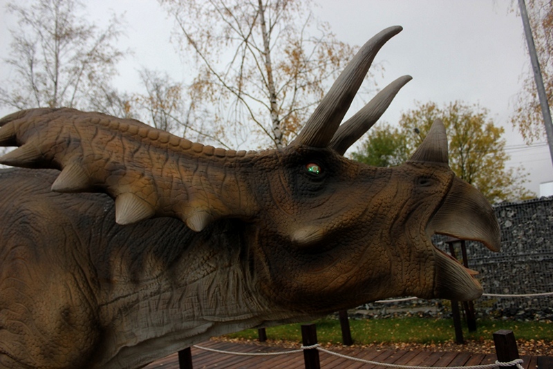 Юркин парк, © Е.Веденьев