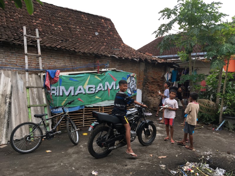 Деревенские развлечения, © А.Полянская