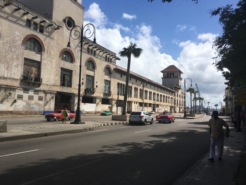 © Александра Полянская