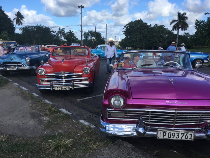 © Александра Полянская