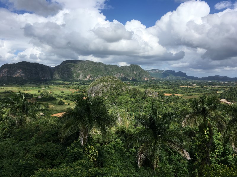 © Александра Полянская