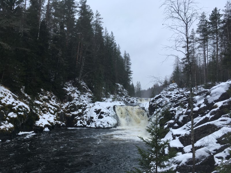 Вокруг водопада Кивач огромное количество озер, © А.Полянская