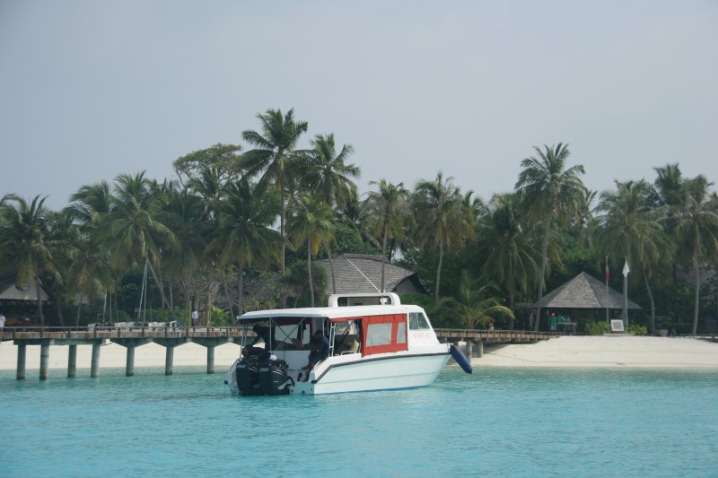 Стоп машина! Прибыли! , © О.Алексеев