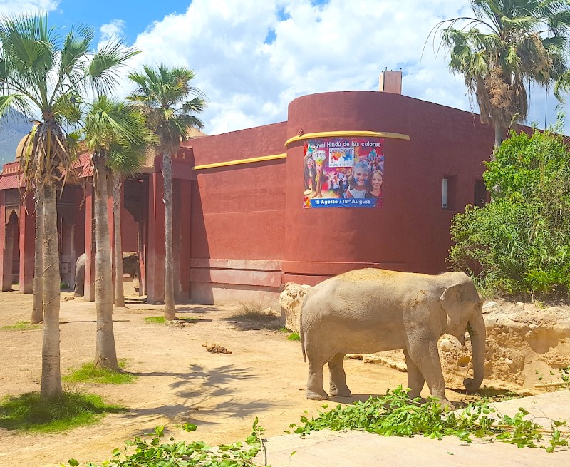 Для любителей животных - «Терра Натура», © Нестерова М.