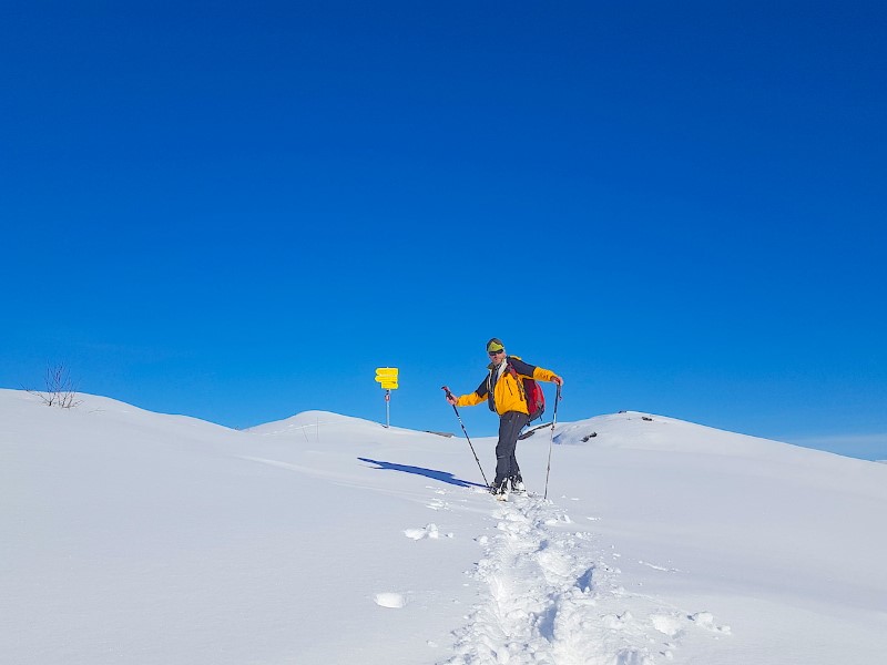 © Нестерова М.