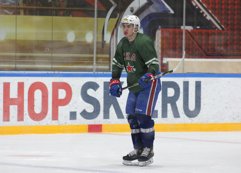 «Хоккейный город» СКА, © Веденьев Е.