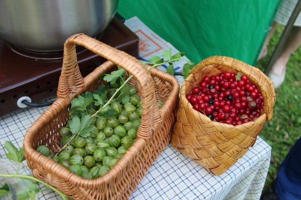 «Литературное варенье» в Щелыково