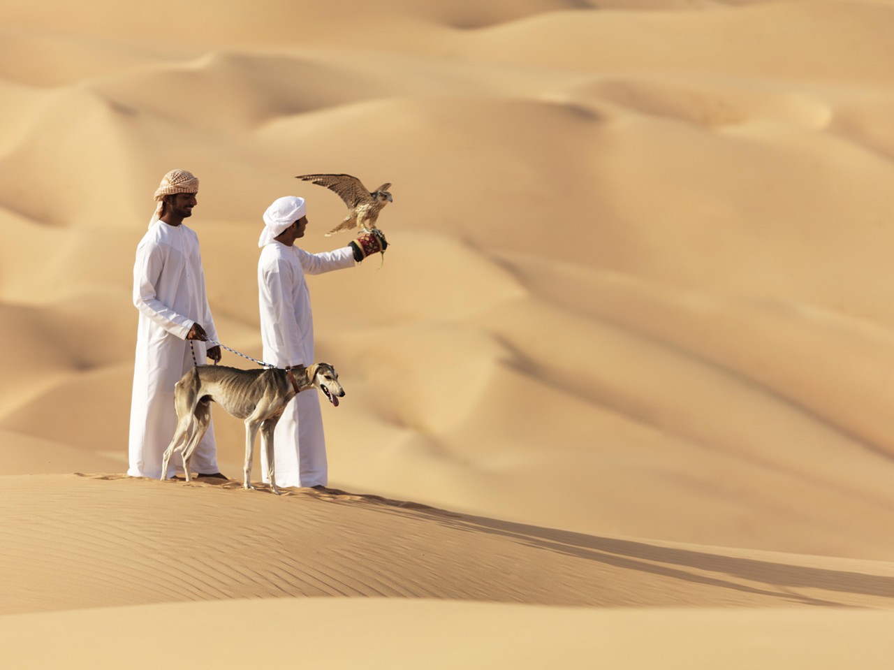 В Абу-Даби проходят популярные фестивали и праздники