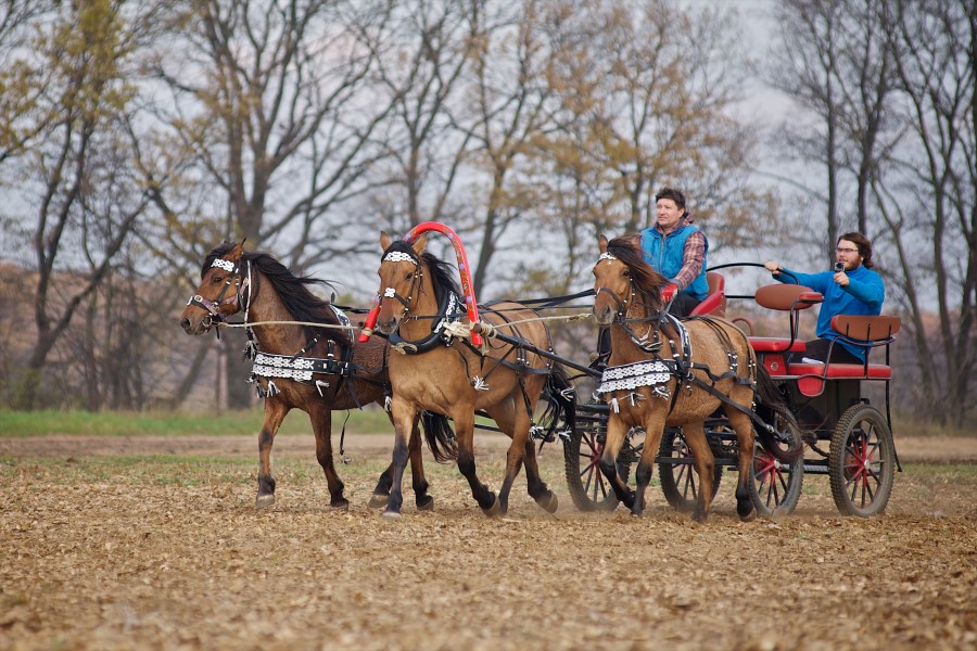 Русская тройка. Богдарня