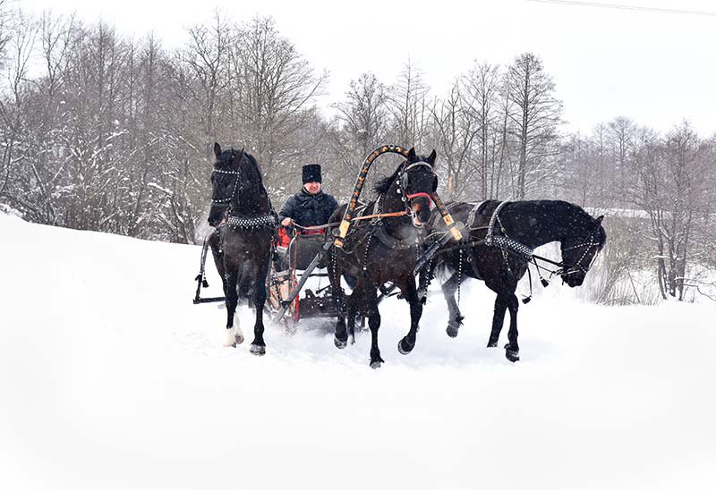 Русская тройка. Богдарня