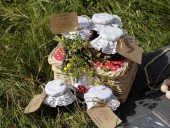 Литературное варенье в музеях-усадьбах