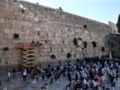 Осмотр камней Стены Плача