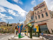 Национальный некоммерческий центр Shalva